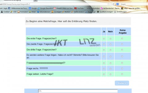 Generierung von Online-Fragebögen für das AKH Linz